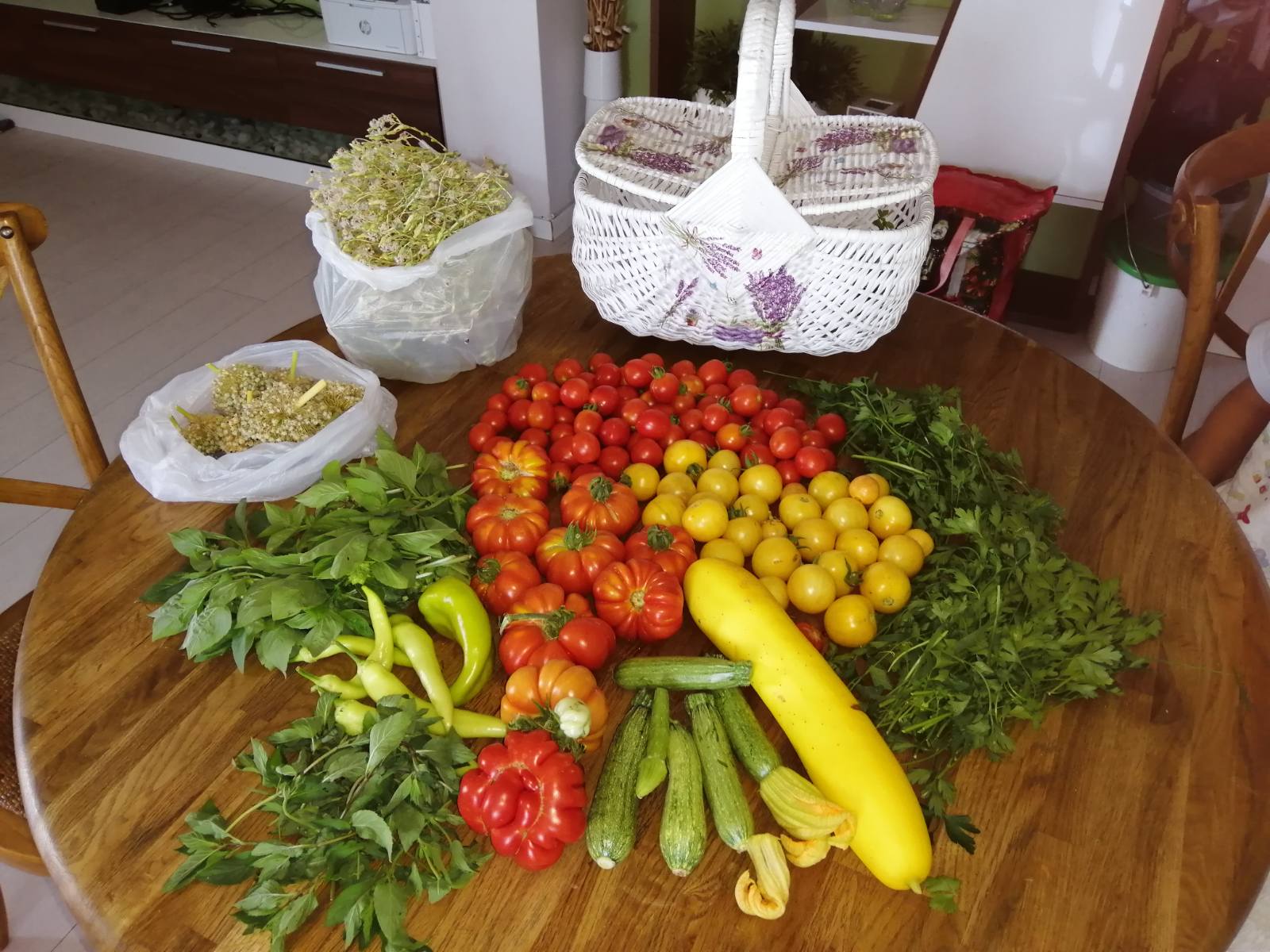 MaraĂźchage bio